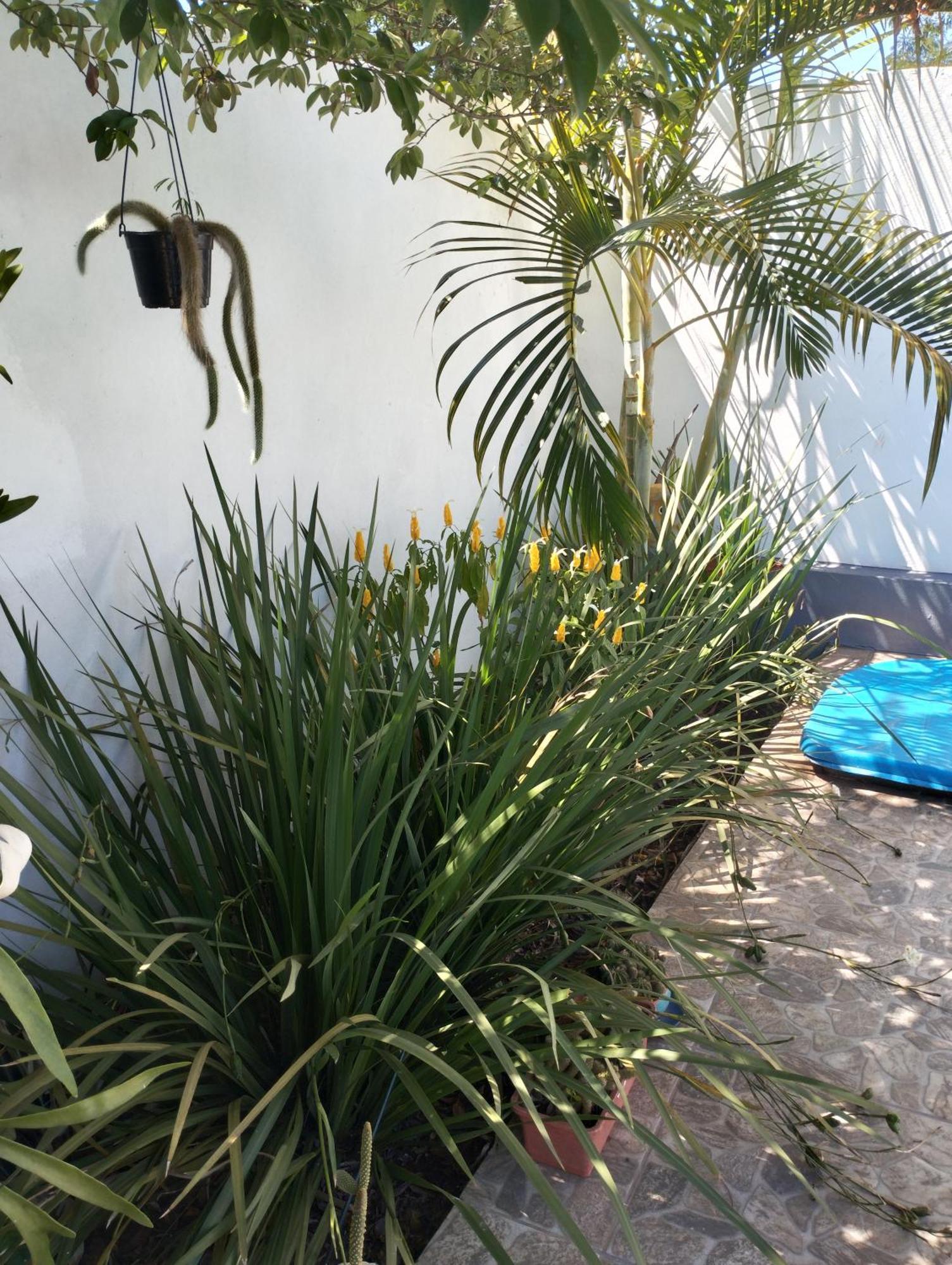 伊瓜苏港Brisas Iguazu公寓 外观 照片